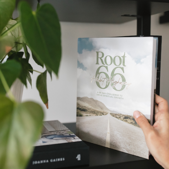 Root 66 Habit Highway Book