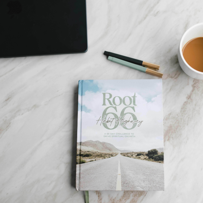 Root 66 Habit Highway Book